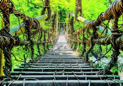 Vine Bridge in the Iya Valley