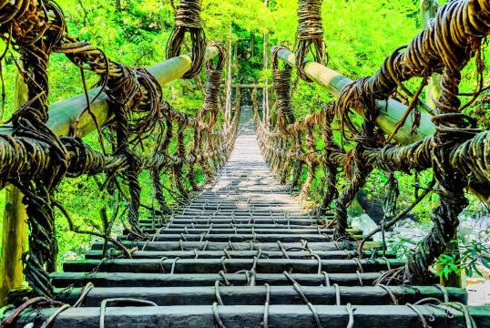 Iya Valley Vine Bridge