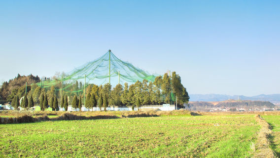 Crested Ibis Nature Reserve