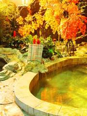 Yixinyuan Hot Spring Hotel