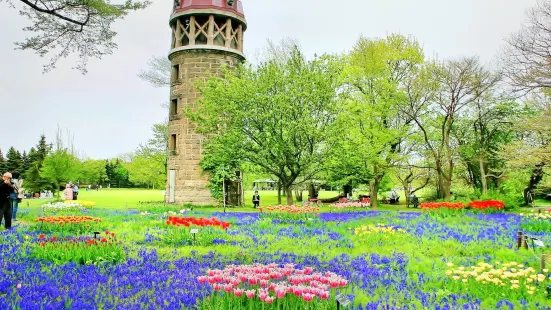 百合が原公園