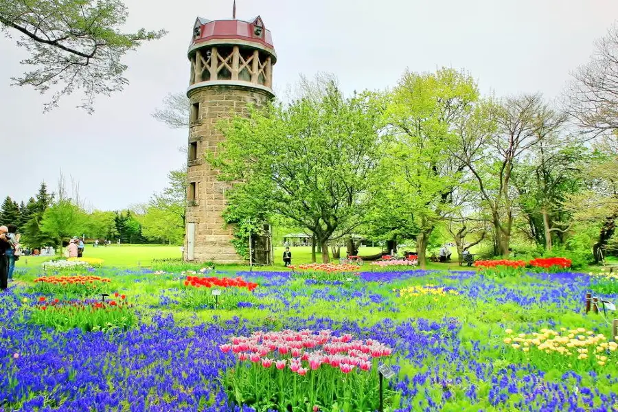 Yurigahara Park