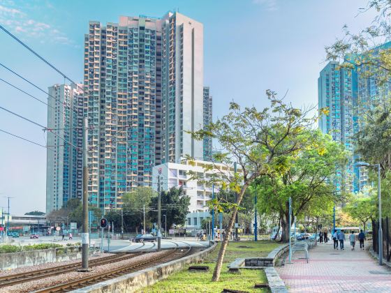 Tin Shui Wai
