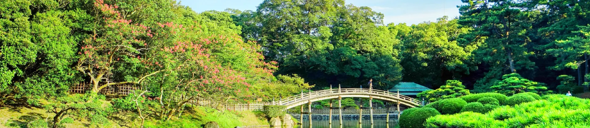 Family-Friendly Attractions