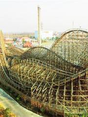 Wooden Coaster-Fireball