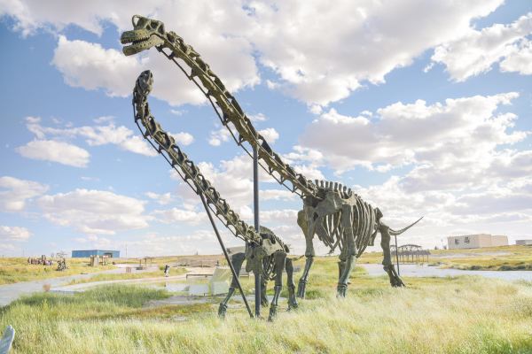 Cretaceous Dinosaur Geopark