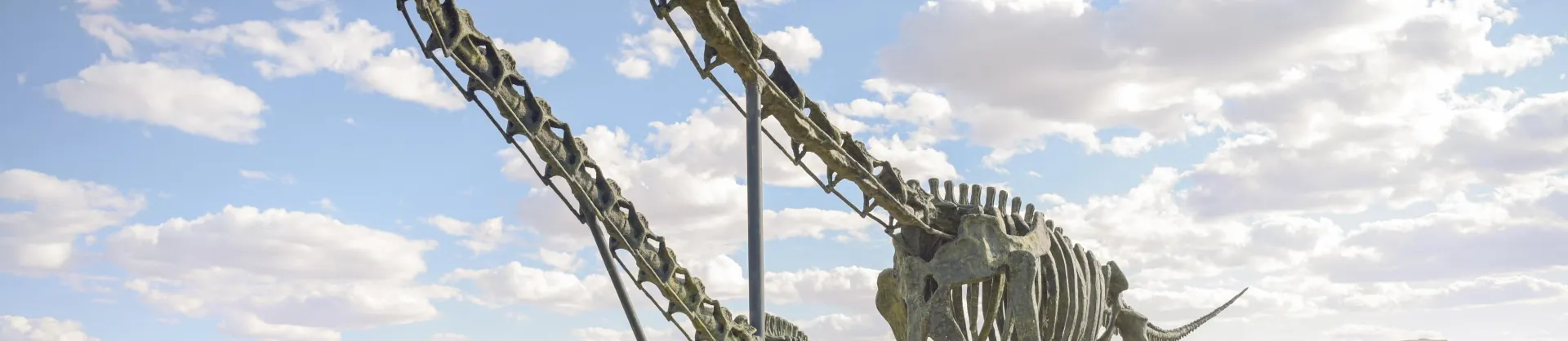 Family-Friendly Attractions