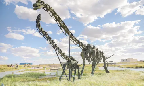 Er Lian Basin Cretaceous Dinosaur National Geopark