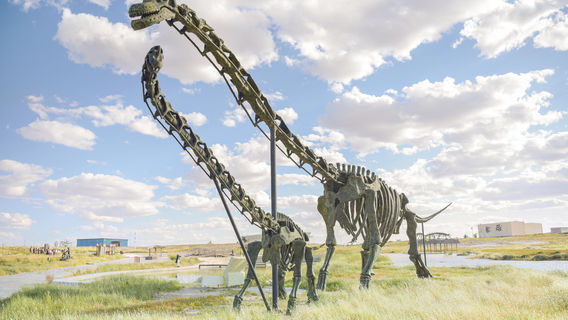 Erenhot National Geopark