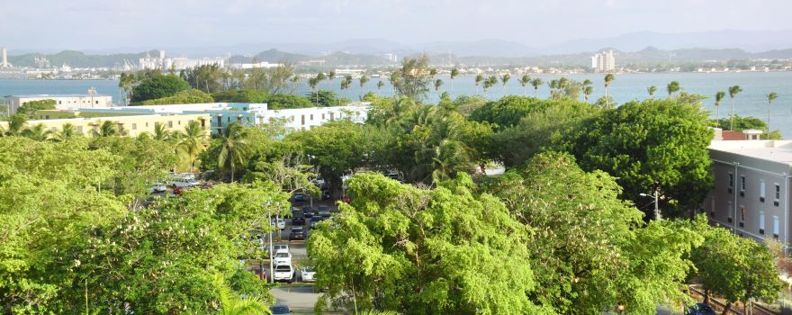 Parque de la Paloma