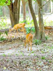 Phnom Tamao Wildlife Rescue Center