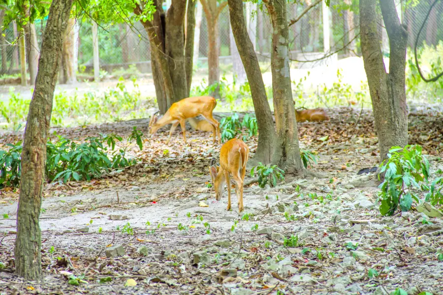 Phnom Tamao Wildlife Rescue Center