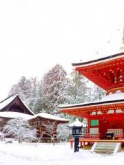 Kongobu-ji Danjo Garan (Elevated Precinct)