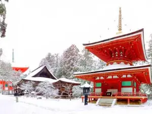 Kongobu-ji Danjo Garan (Elevated Precinct)