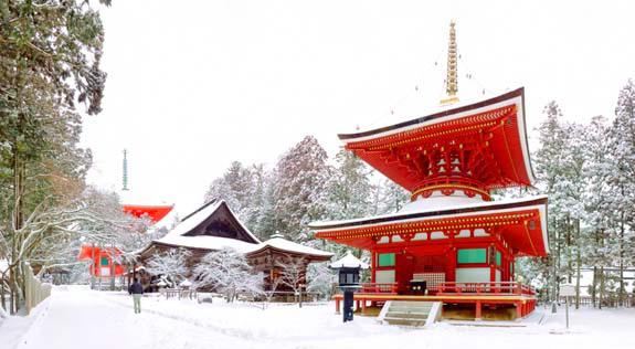 Kongobu-ji Danjo Garan (Elevated Precinct)