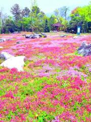 Yaowanggu Shanghua