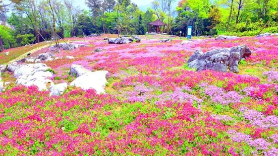 Yaowanggu Shanghua