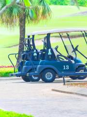 BRG Danang Golf Resort