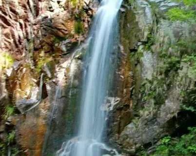 Taohuachong Forest Park