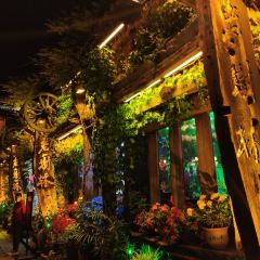 THE FOREST LIVE MUSIC ảnh của người dùng