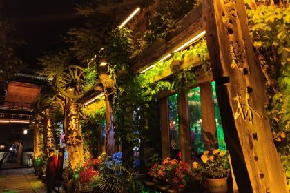 THE FOREST LIVE MUSIC