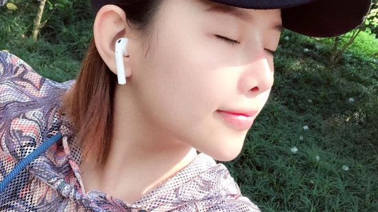 🚶&zwj;♀️血里帶風 天生注定就是漂泊【性价比】这是一