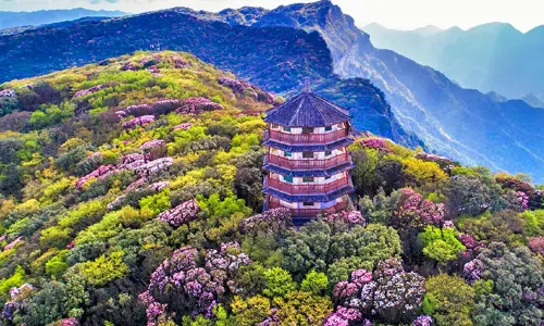 Gold Buddha Mountain