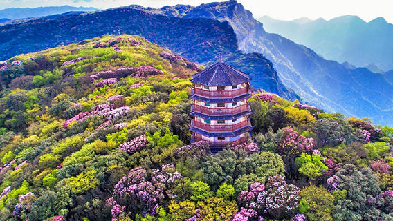 Chongqing