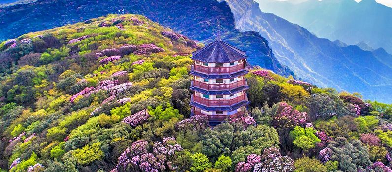 Gold Buddha Mountain