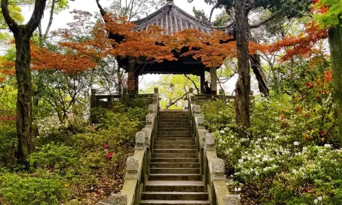 Guyi Garden