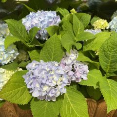 北海道sweets User Photo