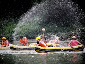 Chuanlong Gorge Drafting