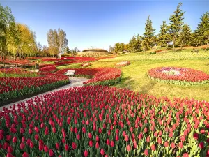 Yinggeshi Botanical Garden