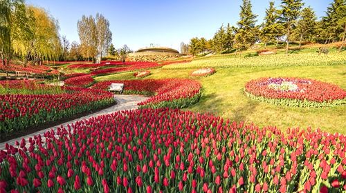 Yinggeshi Botanical Garden