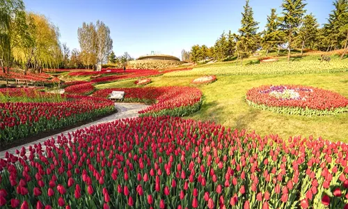Yinggeshi Botanical Garden