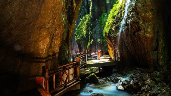 Zhangjiajie Difeng Scenic Area