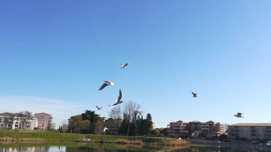 Pizza Club Port Camargue Menu Prix Restaurant Avis Tripadvisor