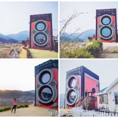 Dreamy Camera Cafe User Photo