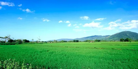 Washbrooks Family Farm