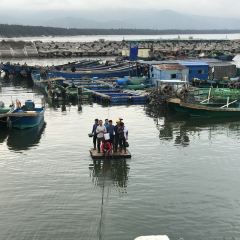 新港渔村 User Photo