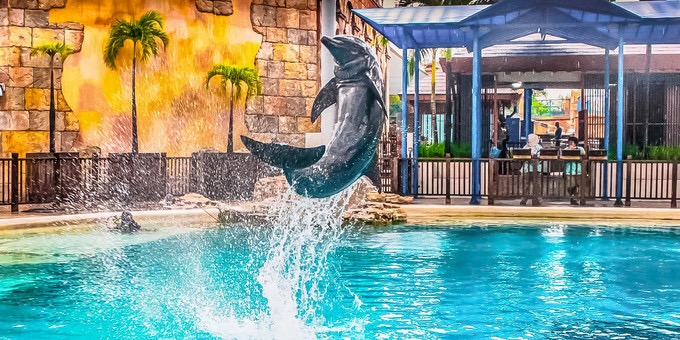 Dolphin Island Singapore Ticket Options