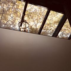 Cafe de la Paix User Photo