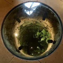 The Wild Rabbit張用戶圖片