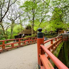 Mizuya Chaya User Photo