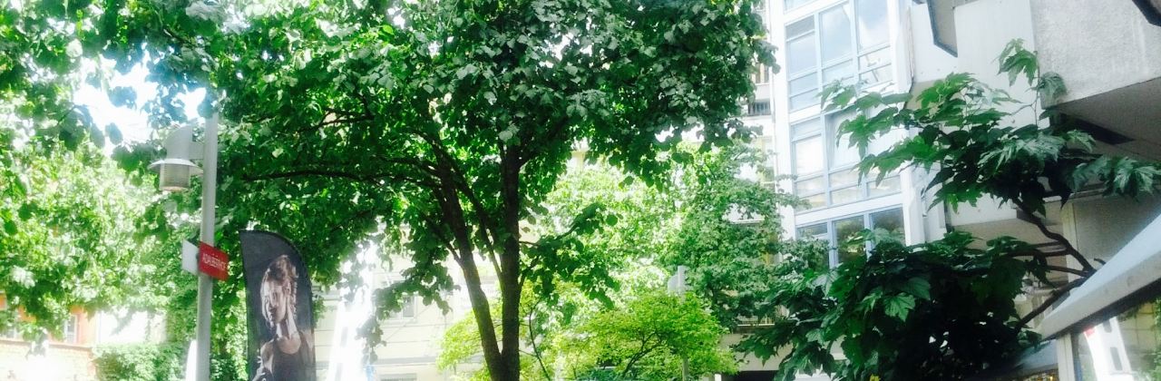 Gartensalon München