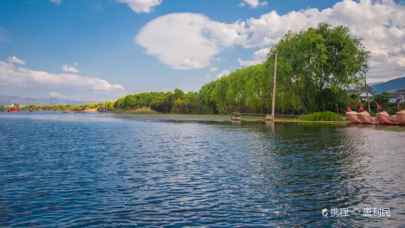 Dali Erhai Lake Ecological Corridor, Xizhou Sea Tongue Park, Shuanglang Ideal Land Private Guided Day Tour