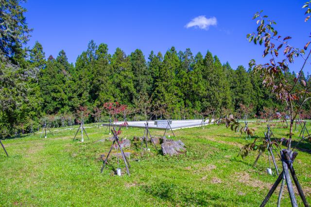 Ali Marsh Flat Park