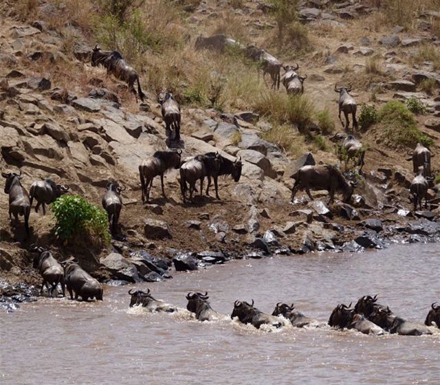 Mara River