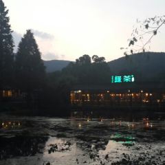Green Tea User Photo