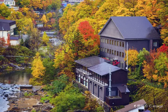 Maple Leaf Viewing in Sapporo